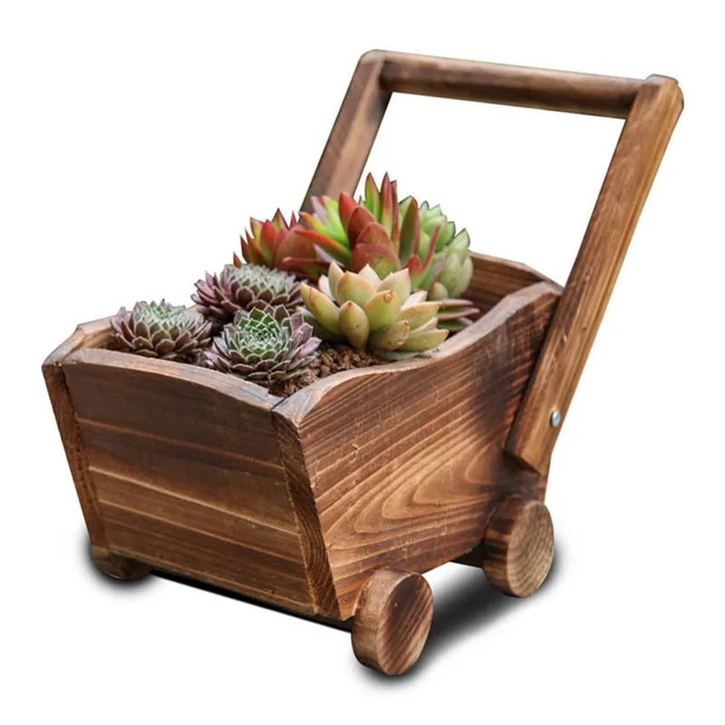 Succulent Flower Pot