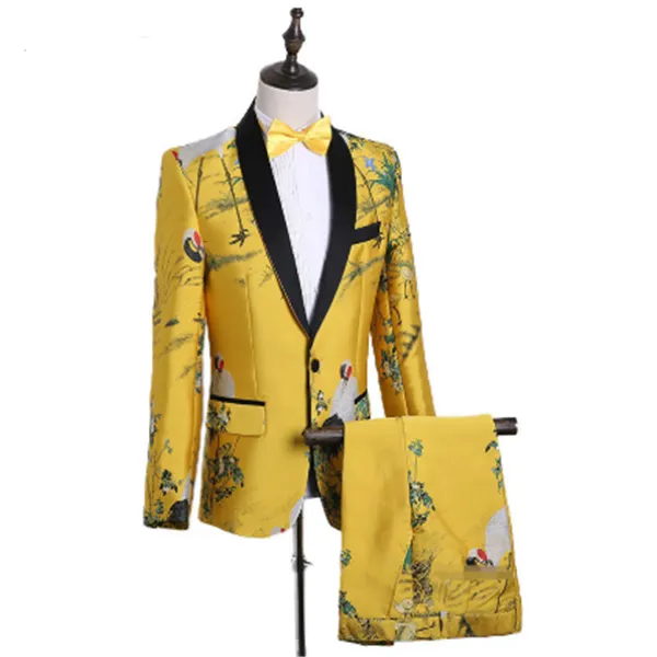 Singer host costume