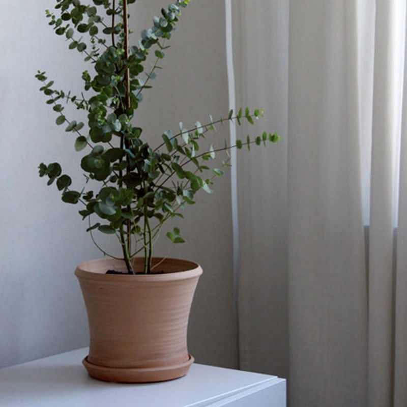 Literary Cement Flower Pot