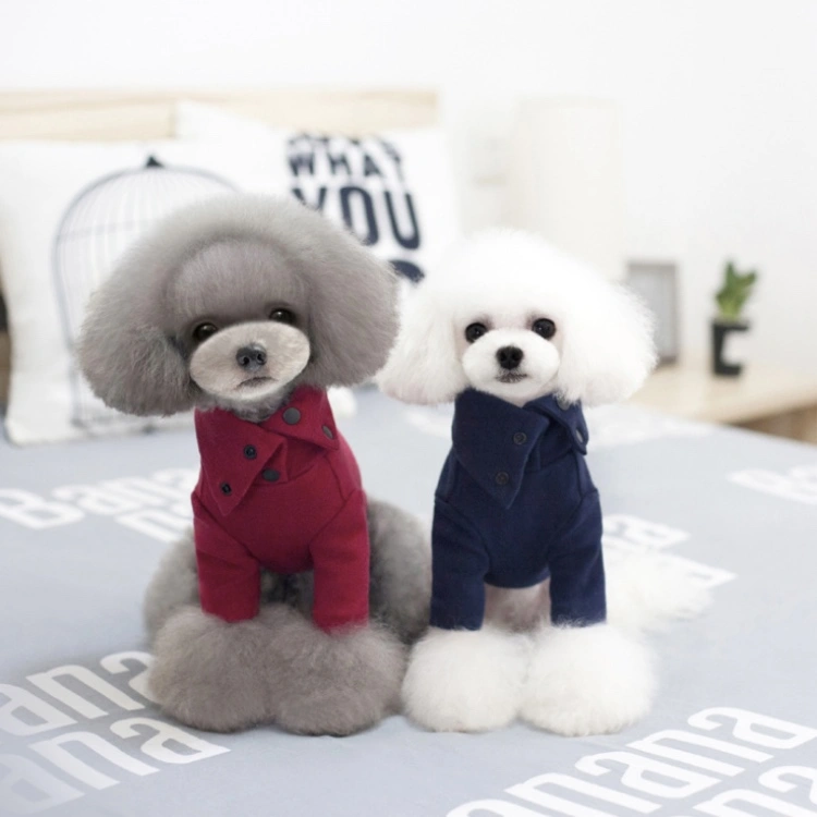 Small dogs autumn and winter outfits