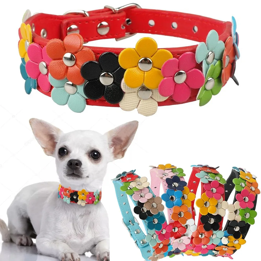 Double row flower pet collar