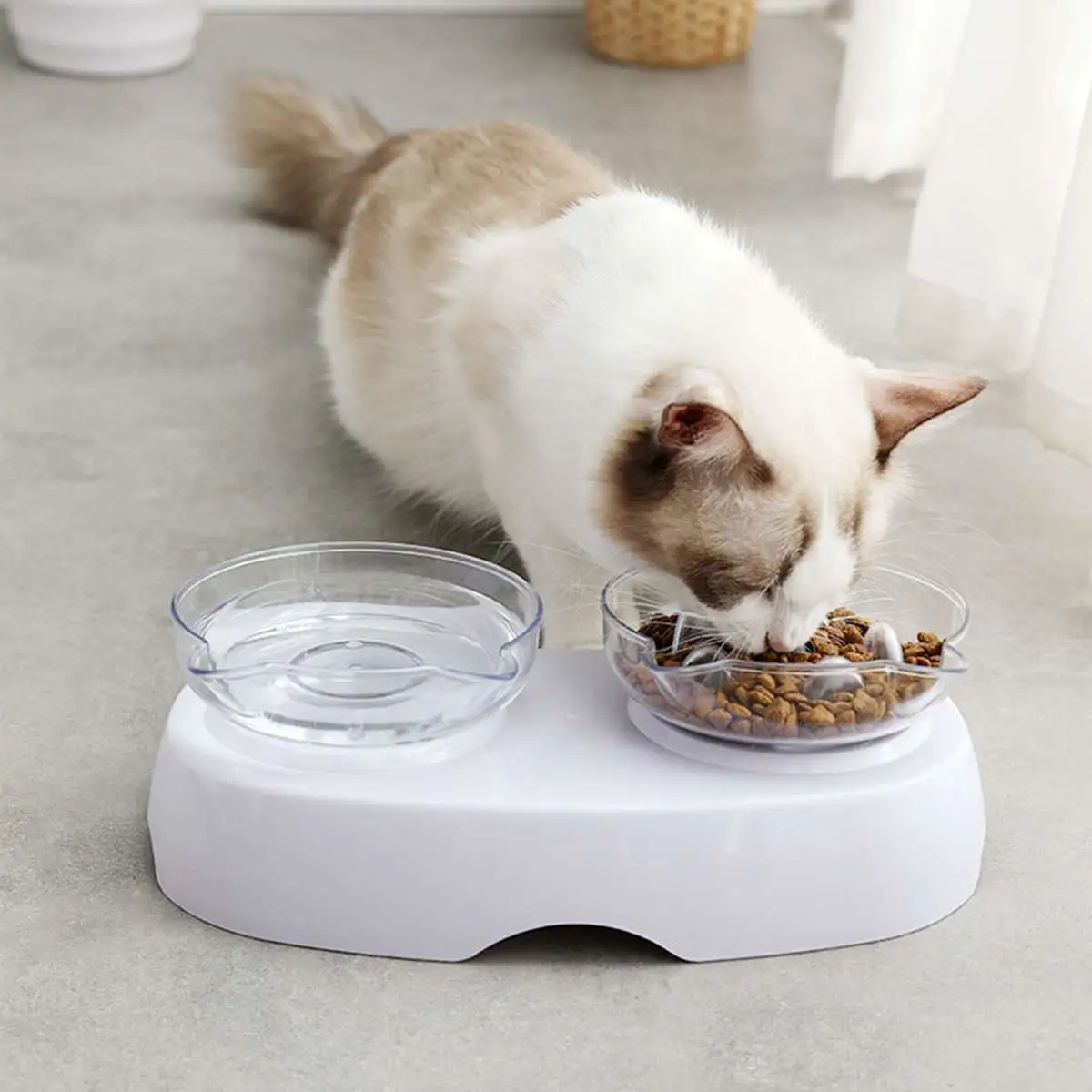 Protect The Cervical Spine Plastic Cat Bowl With Oblique Mouth Double Bowl