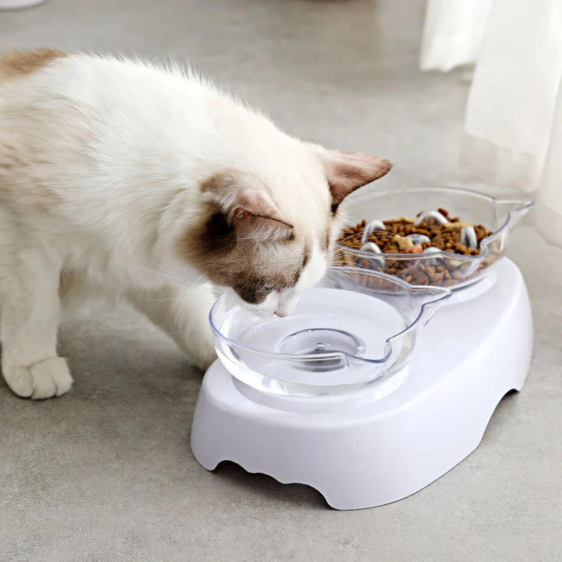 Protect The Cervical Spine Plastic Cat Bowl With Oblique Mouth Double Bowl