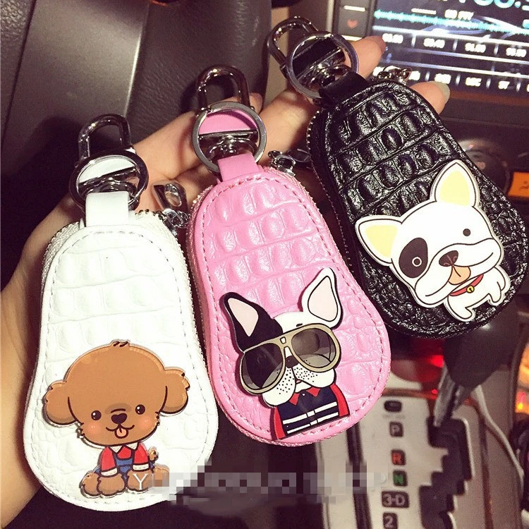 Car key case