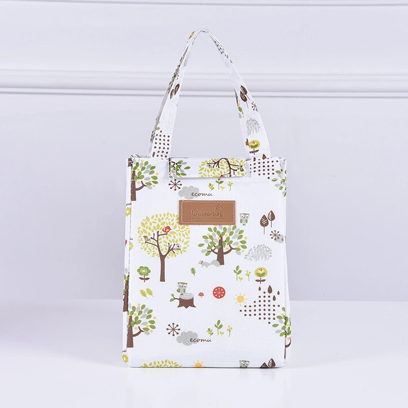 Color Portable Insulated Lunch Bag Cartoon Pattern Outdoor Picnic Bag