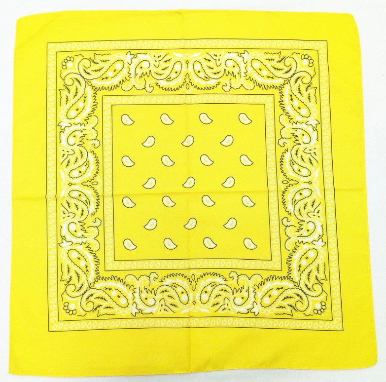 Hip Hop Hip-hop Square Scarf Variety Headscarf Print Paisley Print Headscarf