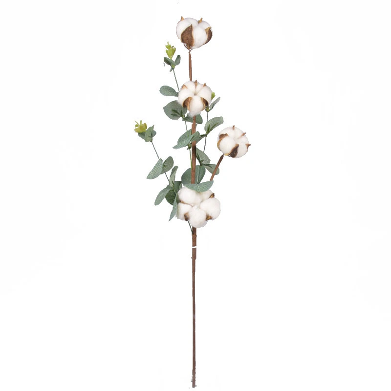 Xinjiang 10 Cotton Dried Flower Bouquet