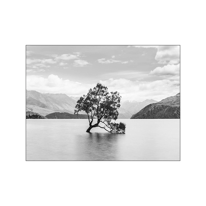 Poster Scandinavian Canvas-Painting Lion Home-Decor Nordic-Print Black White Bird Tree-Landscape