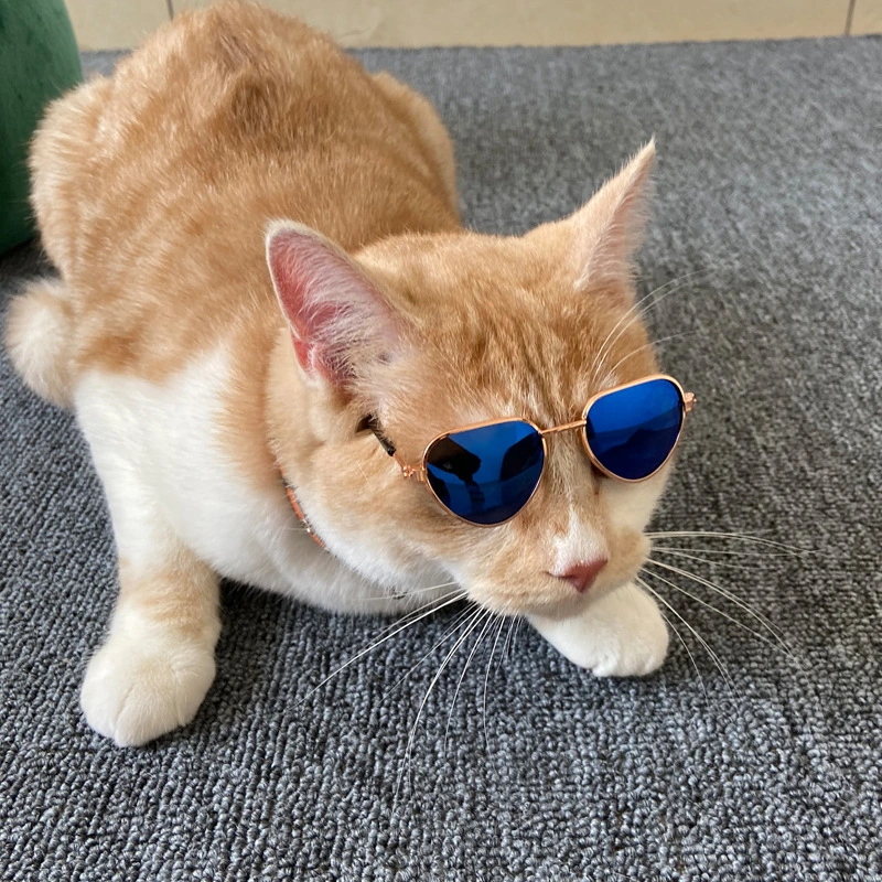 Creative Fashion Mini Pet Cat Sunglasses