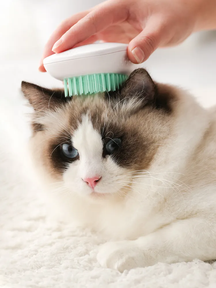 One-key Hair Removal Cat Hair Cleaner Dog Hair Comb