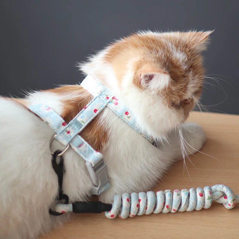 Simple Pet Print Anti-stroke Cat Leash