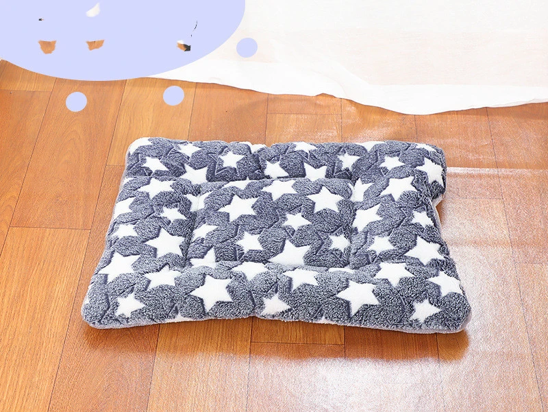 Cartoon Printing Pet Mat Thickening