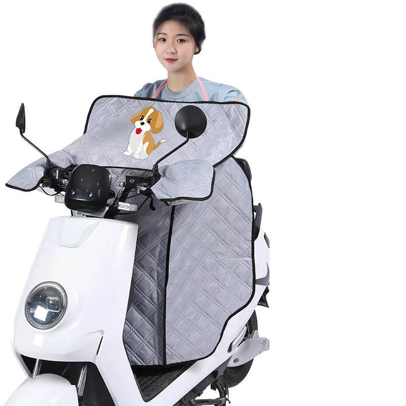 Summer Sunscreen Electric Car Windshield Quilt