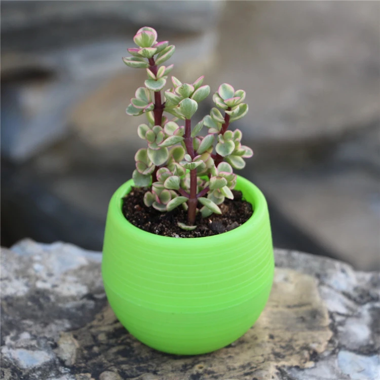 Succulents Flower Pots Mini Flower Pots Plastic Imitation Ceramic Stone Pill Flower Pots Color Full Resin Flower Pots