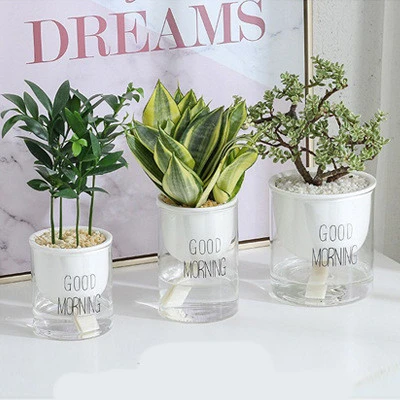 Succulent Flower Ceramic Pot Hydroponic Nordic Style Green Radish Self-Absorbent Glass Flower Pot Decoration New