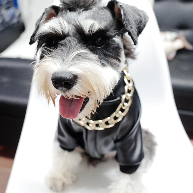 Law Fighting Tyrant Gold Necklace, Thick Gold Chain Schnauzer