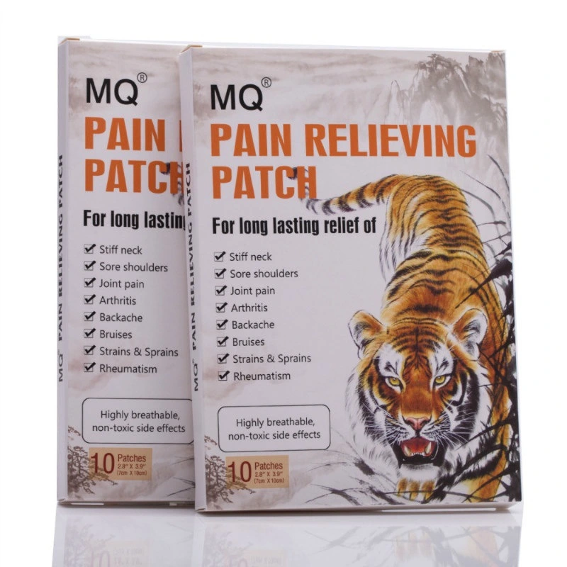 English Lumbar And Cervical Spine Around Shoulder Plaster