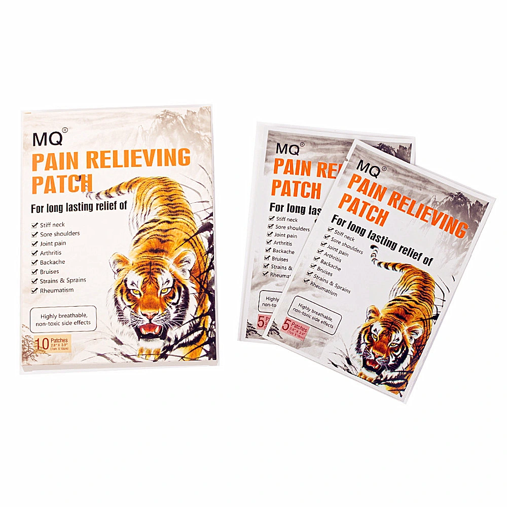 English Lumbar And Cervical Spine Around Shoulder Plaster