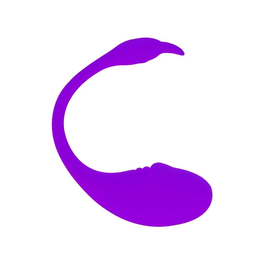 Bluetooth WIFI Wireless Smart Sex Toys