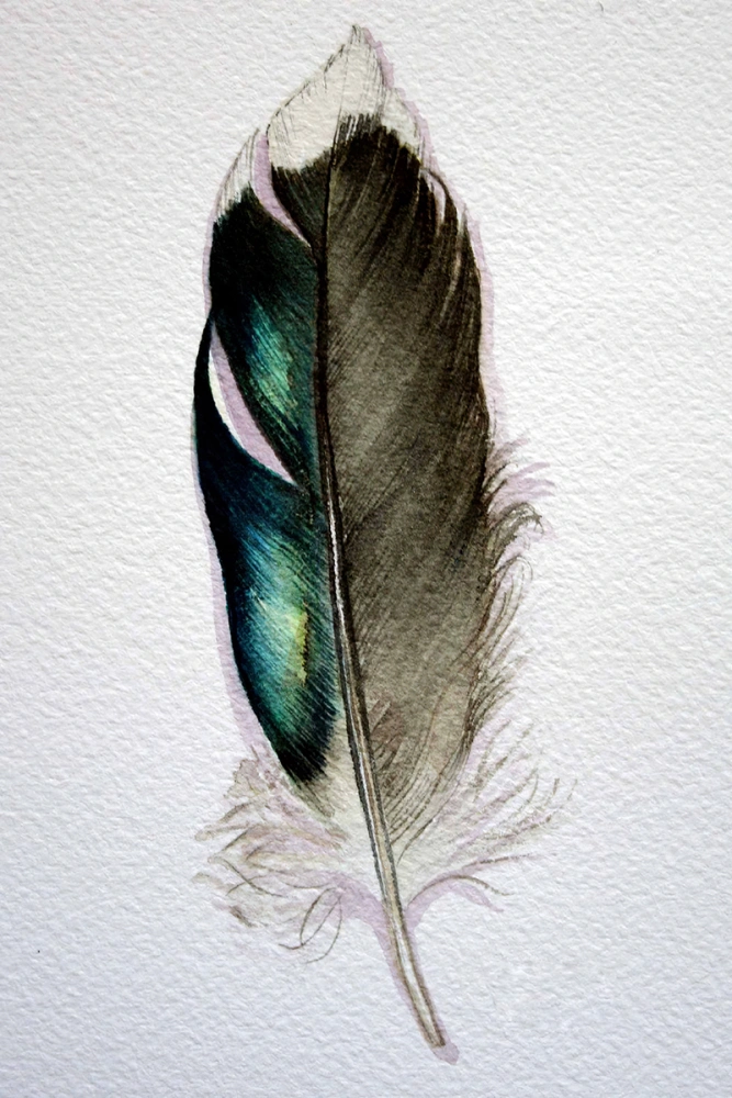 Feather Hanging Wall Art Painting Living Room Background Wall