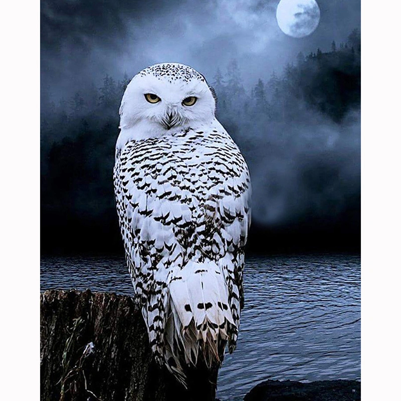 Night Owl Around Lake Resin Full Diy Diamond Painting Diamond Mosaic Beadwork Embroidery Gift Making Tools Diamond Pattern KBL