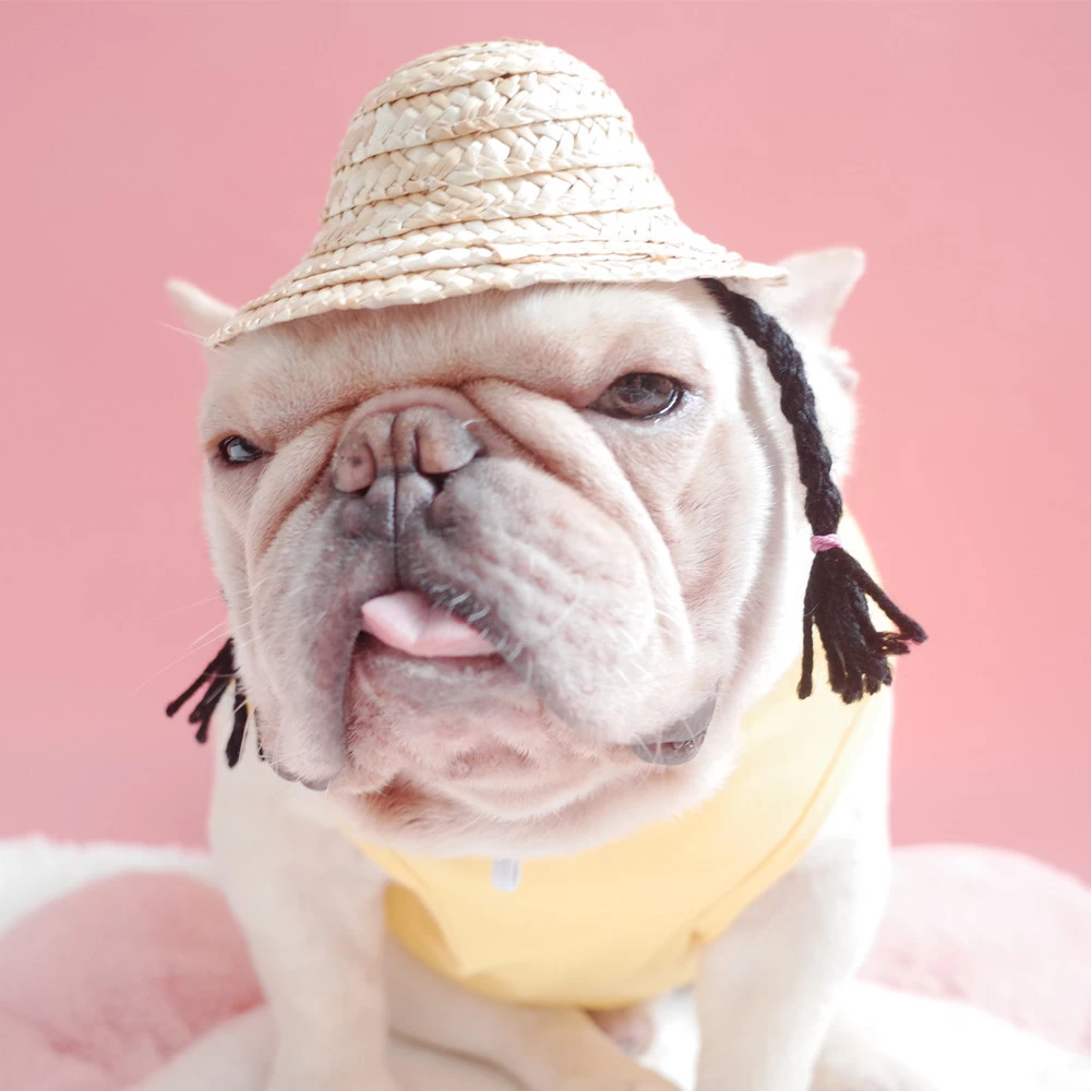 Dog Double Braid Straw Hat, Cat Hat, French Braided Hat