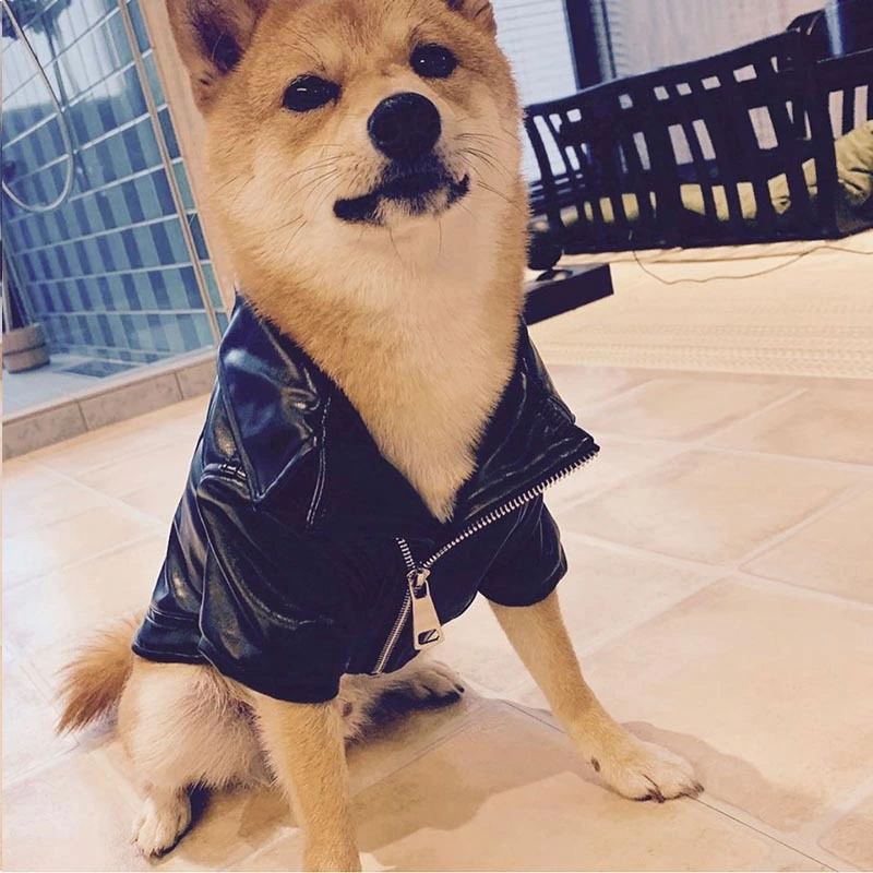 French Fighting Leather Shiba Inu Clothes Pet Leather