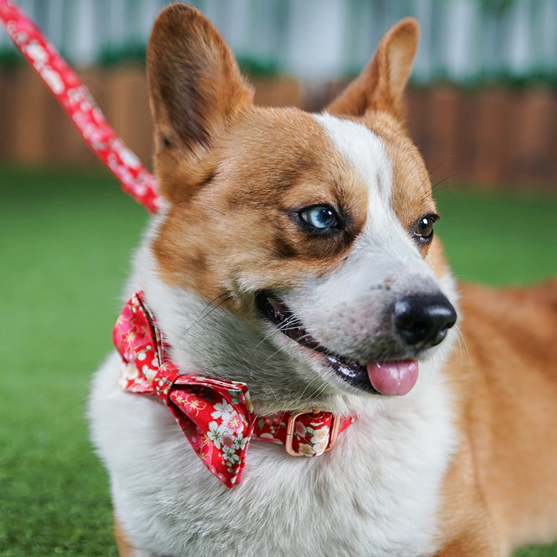 Red And Flower Style Female Dog Dog Pen And Dog Leash Set