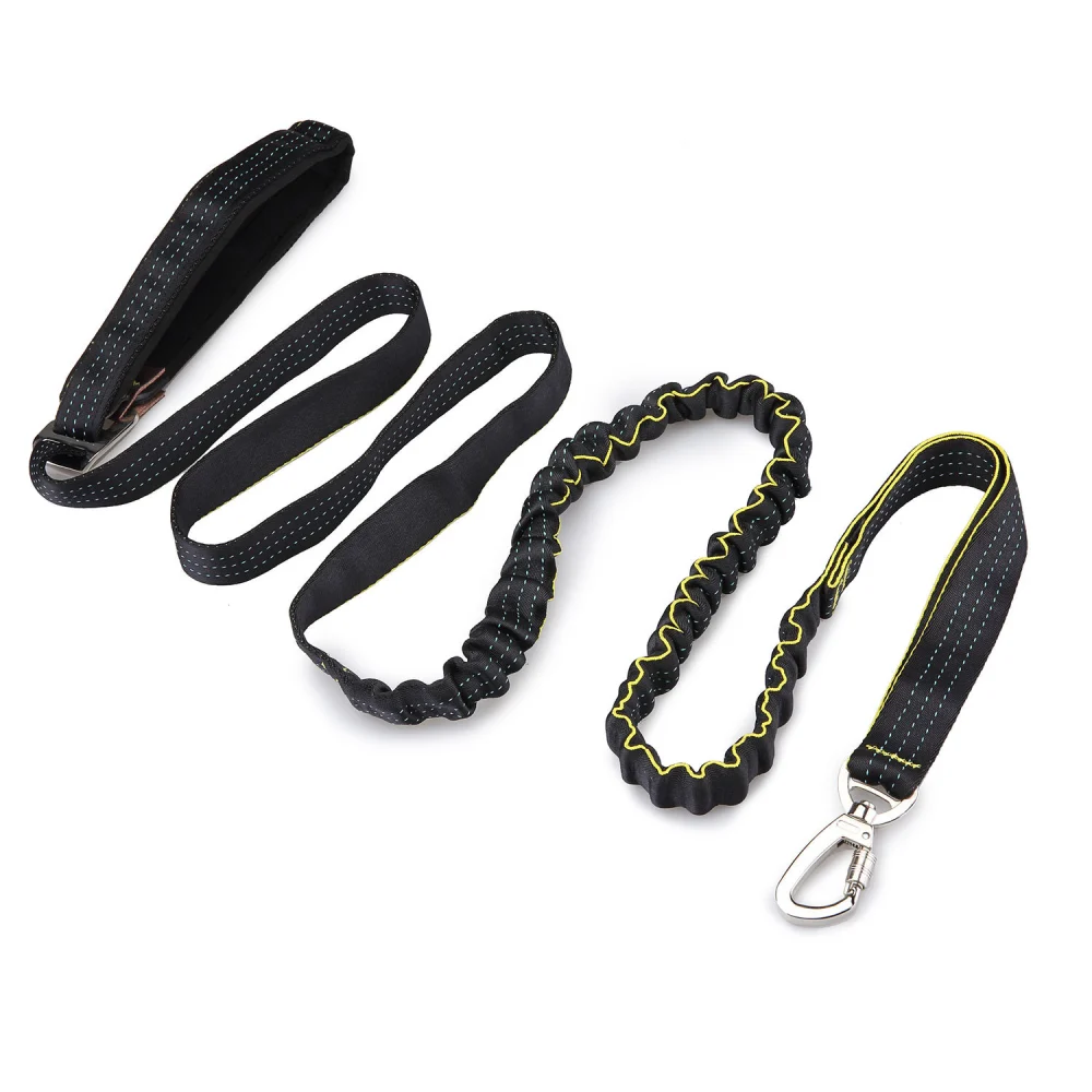 Nylon Elastic Dog Walking Leash Explosion-proof Pet Leash