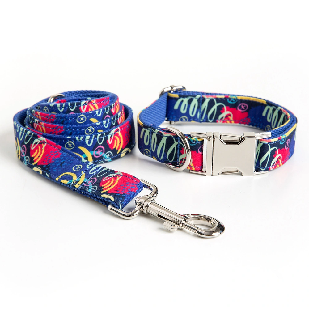 Graffiti Pet Collar Leash Set