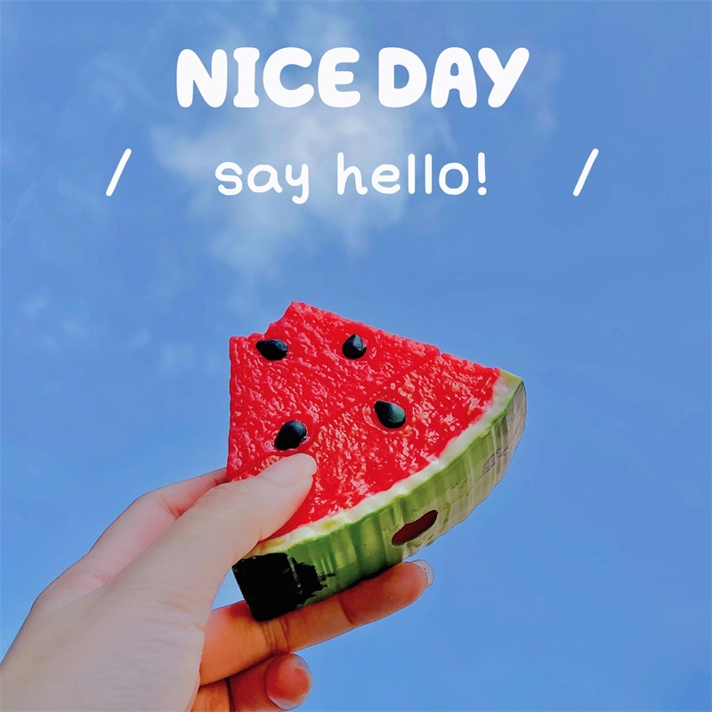 Funny Watermelon For AirPods Pro