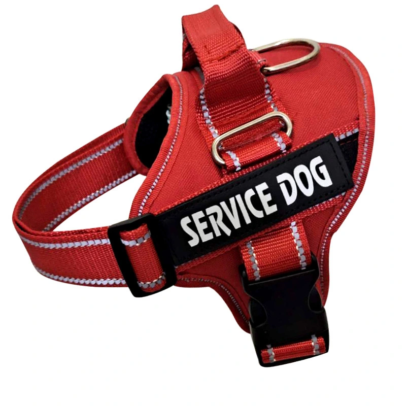 Outdoor Explosion-proof Okinawa Leash