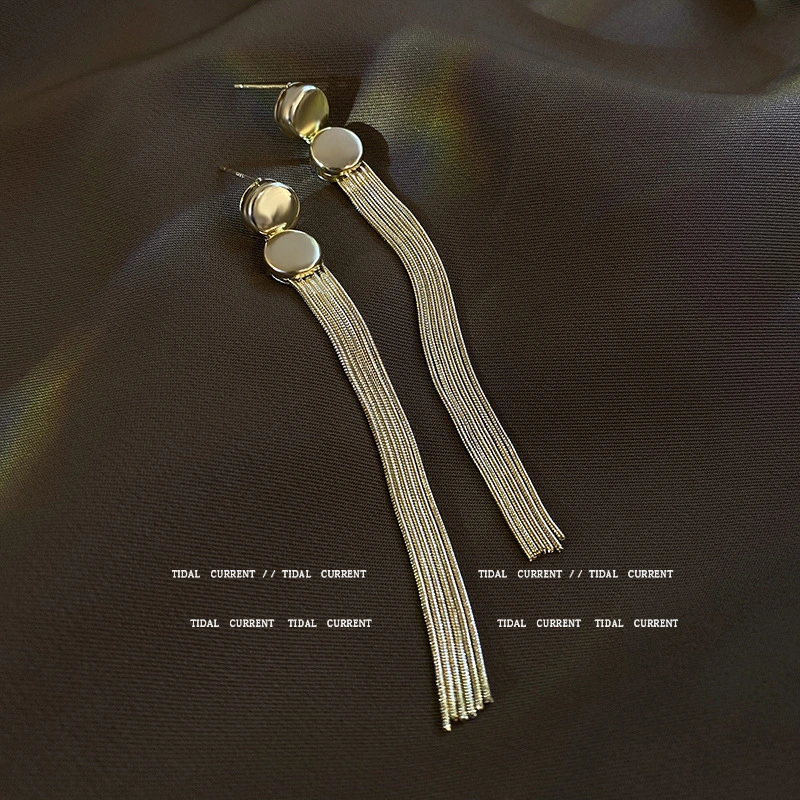 S925 Silver Needle Long Tassel Earrings