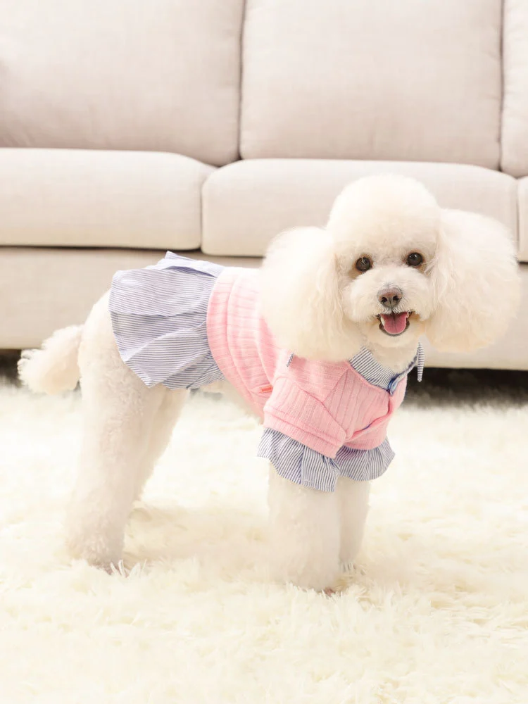 Dog Clothes Thin Style Small Dog Pet Trendy Autumn And Winter Clothes