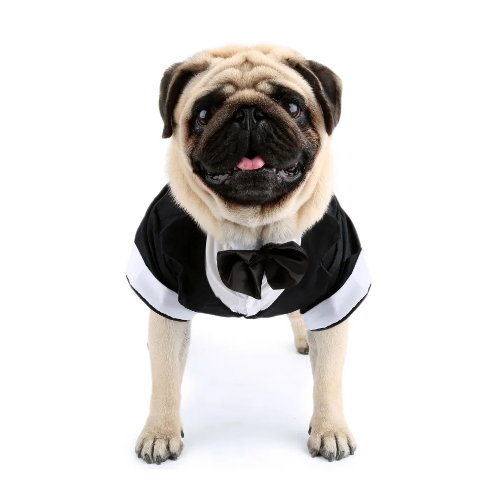 Puppy Gentleman Bow Tie Evening Dress Pet Supplies