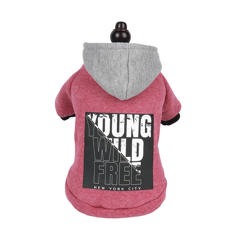 Letter Print Hooded Sweatshirt