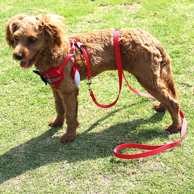 Small Dog Teddy Vest-style Bow Evening Dress With Chest Strap