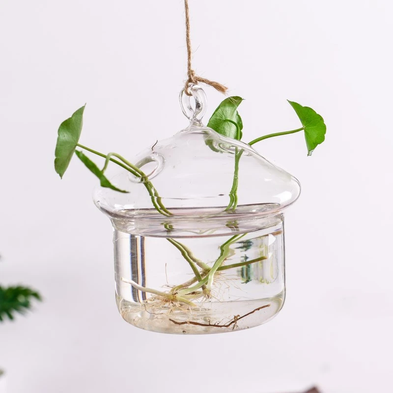 Creative Hydroponic Plant Aquarium Hanging Transparent Glass Vase
