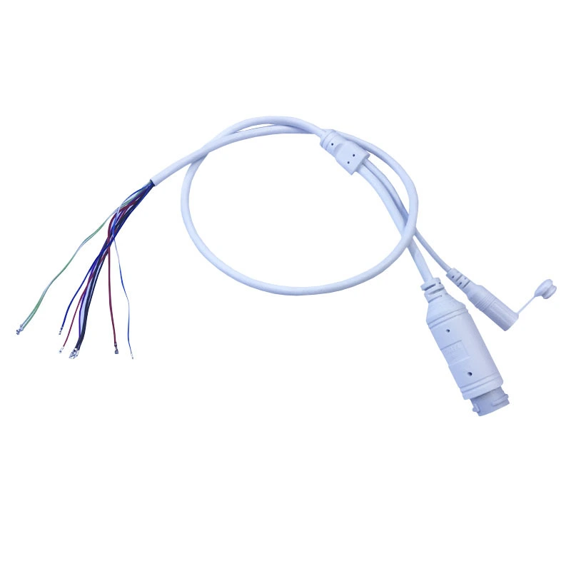 Surveillance Camera Network Tail Line
