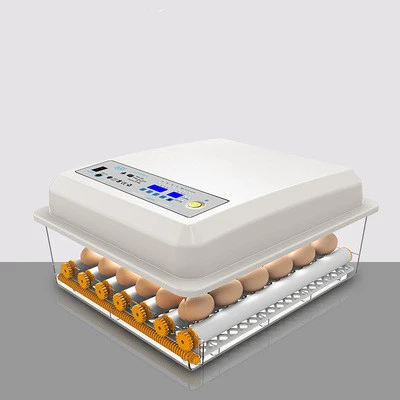 Small Household Smart Mini Egg Incubator Egg Incubator