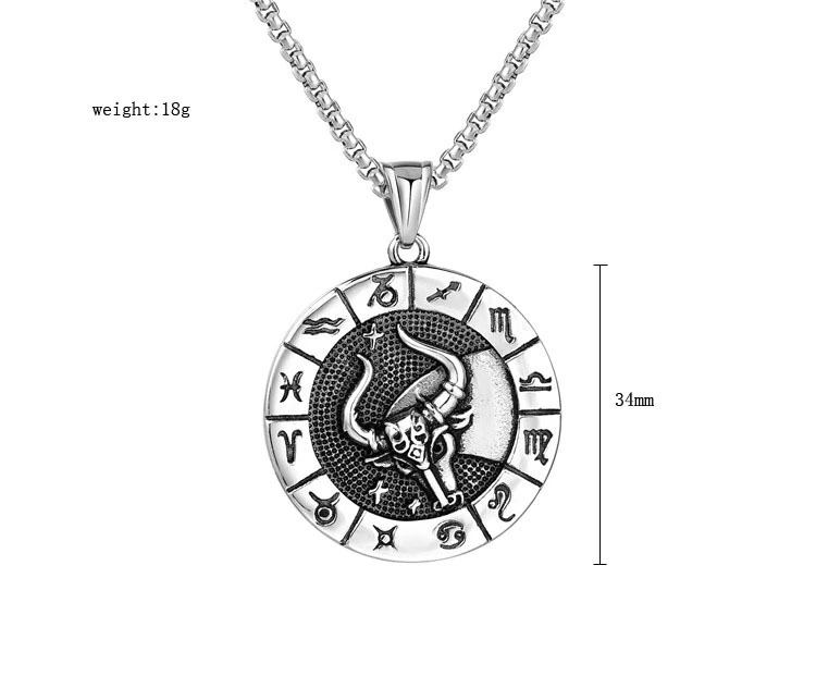 Fashion Stainless Steel Twelve Constellation Pendant