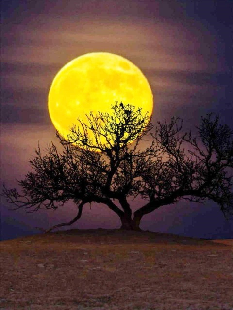 5D DIY Moon Full Square Diamond Embroidery Landscape Home Decoration