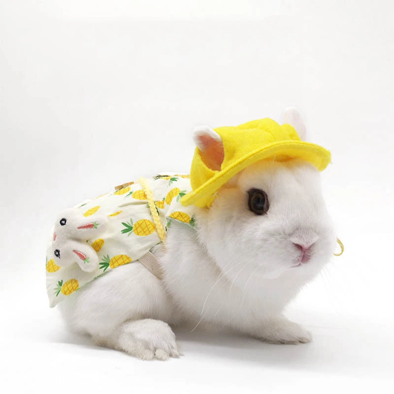 Pet Bunny Clothes Bunny Lop-eared Rabbit Ornaments