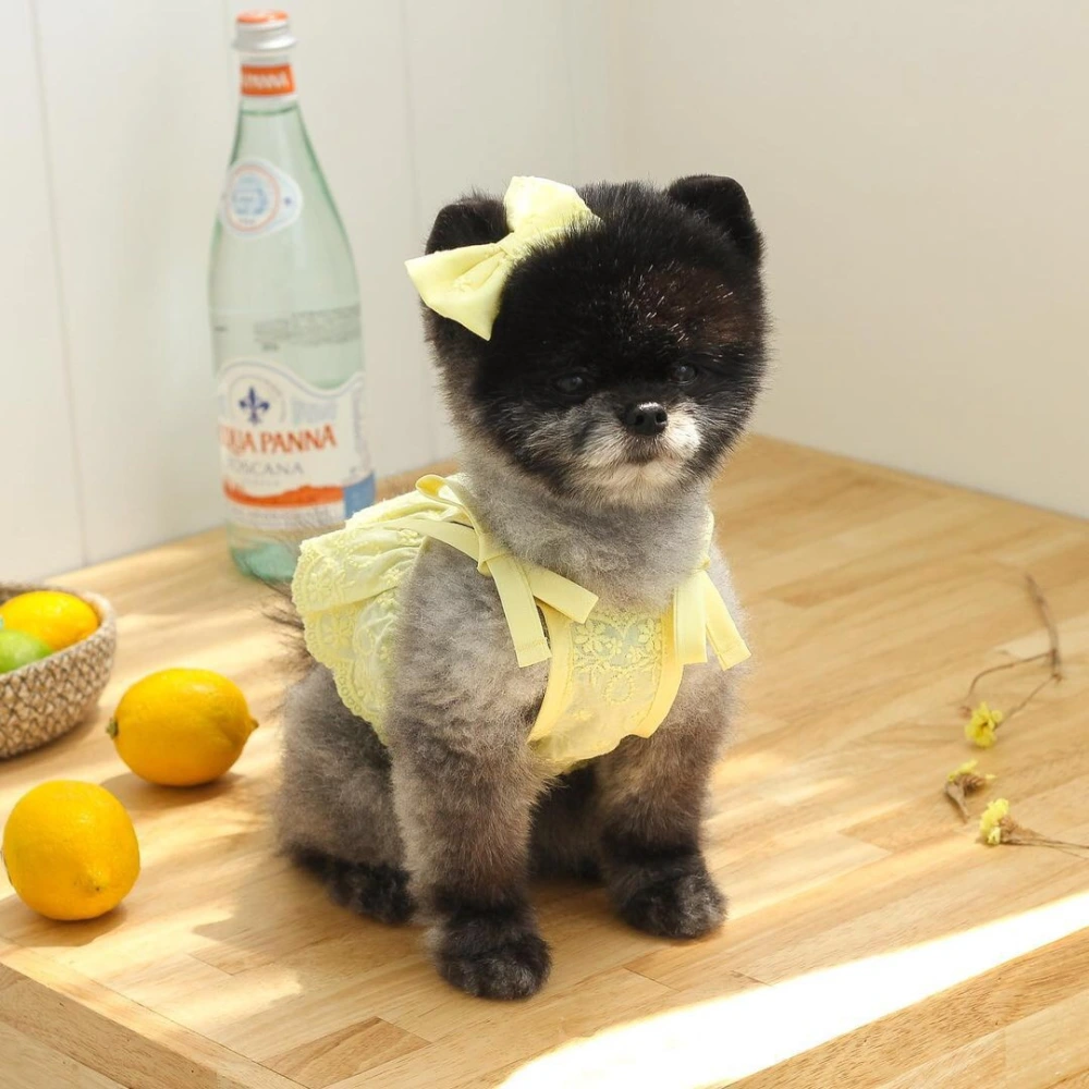 Main Sling Short Skirt Bowknot Hairpin Cat Thin Pet Clothes