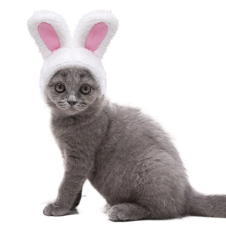 Fashion Warm Rabbit Ears Pet Hat