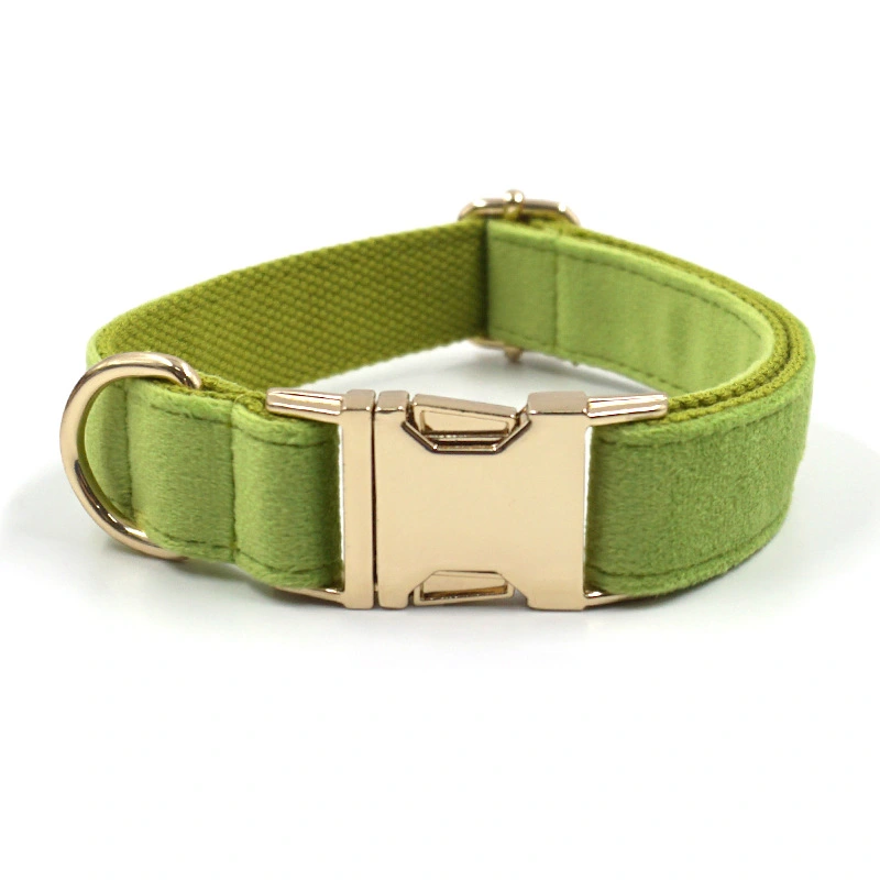 Simple Matcha Green Velvet Dog Collar