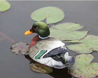 Cross-border Mandarin Duck Garden Pond Floating Swan Animal Decoration