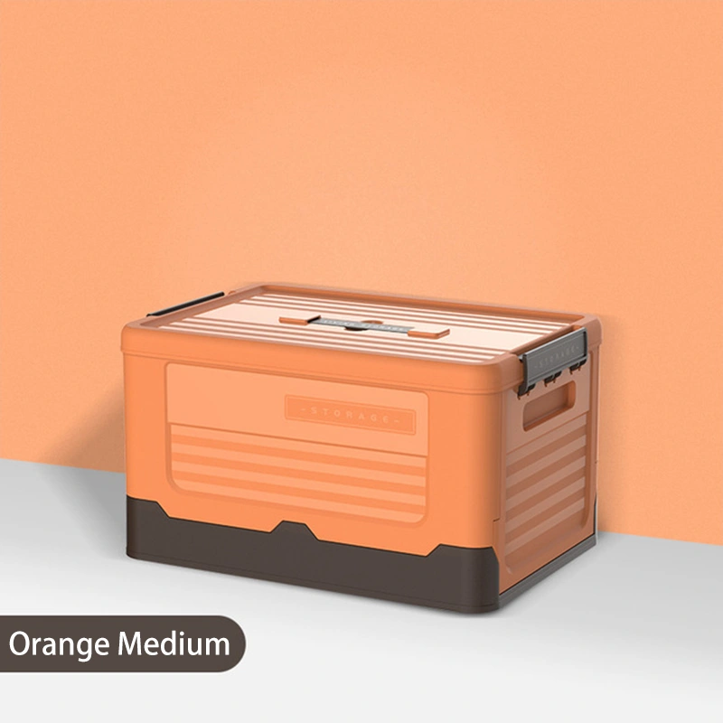 Foldable Storage And Sorting Box