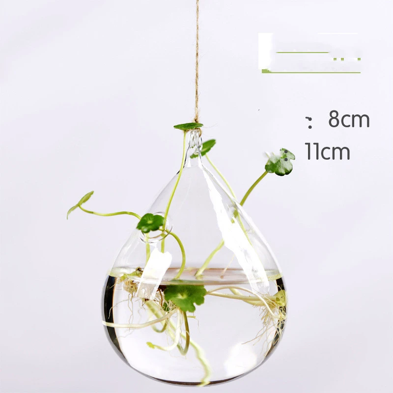 Hanging Transparent Glass Vase Simple Hydroponic Small Hanging Bottle