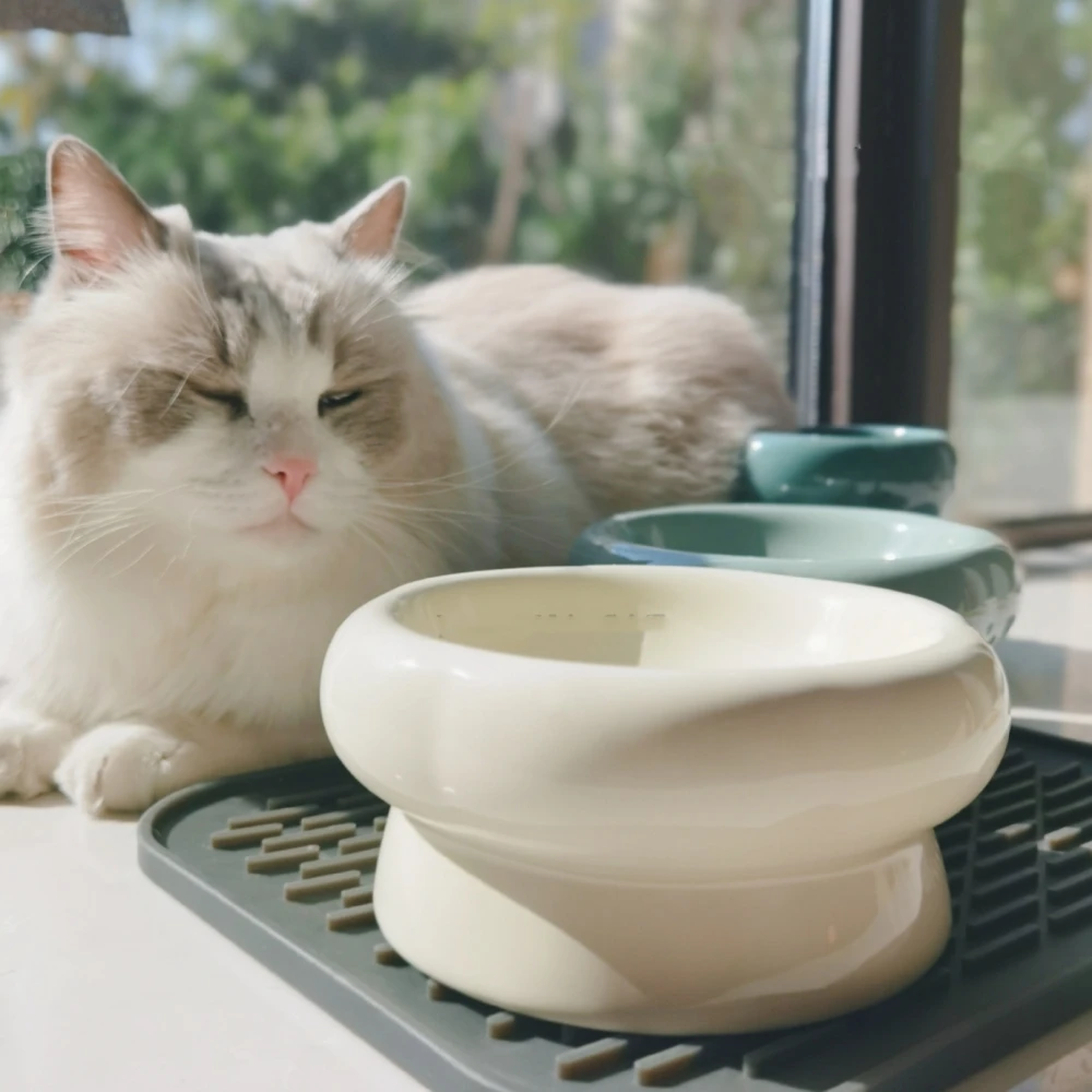 Simple Cat Ceramic Bowl Petal